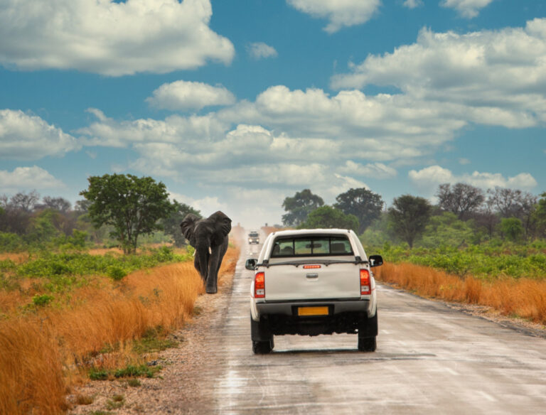 When Driving Drives You Crazy